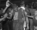 Boxer, Washington, D.C.